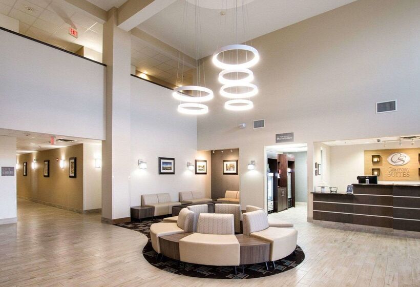 ホテル Comfort Suites San Angelo Near University