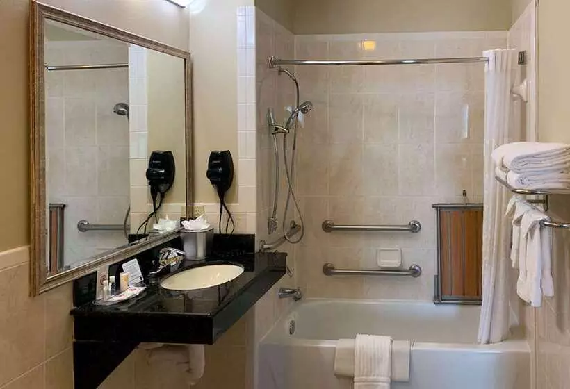 Отель Comfort Suites Texas Ave