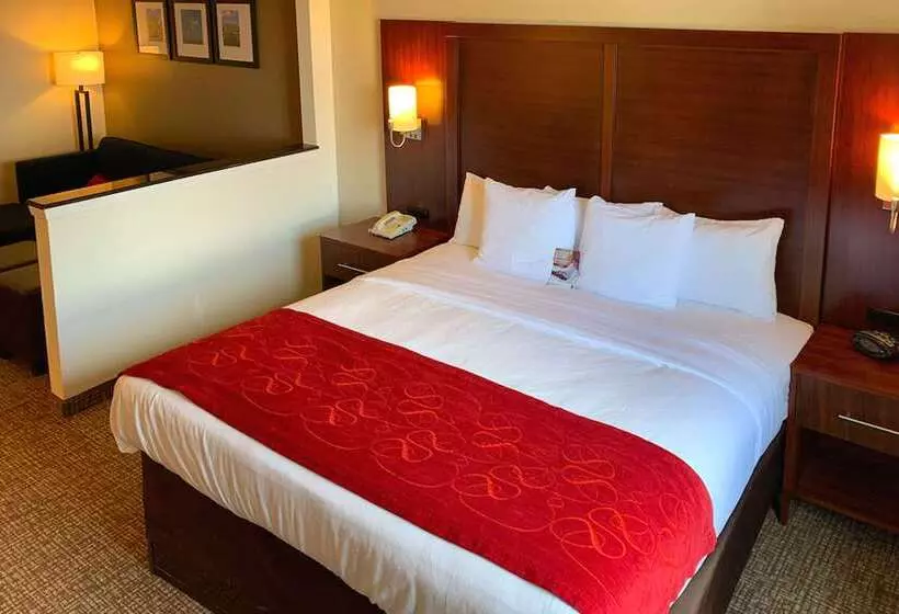 Отель Comfort Suites Texas Ave
