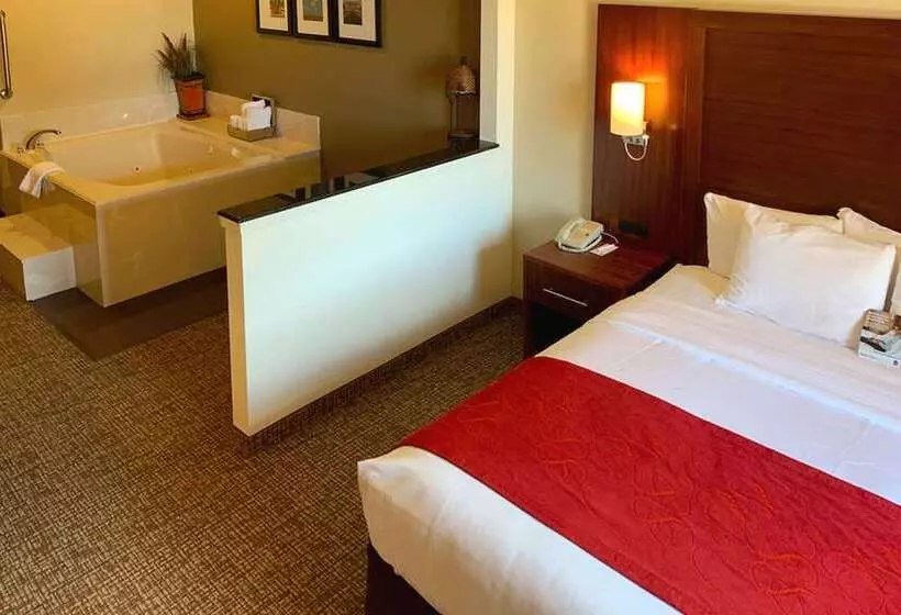 Отель Comfort Suites Texas Ave