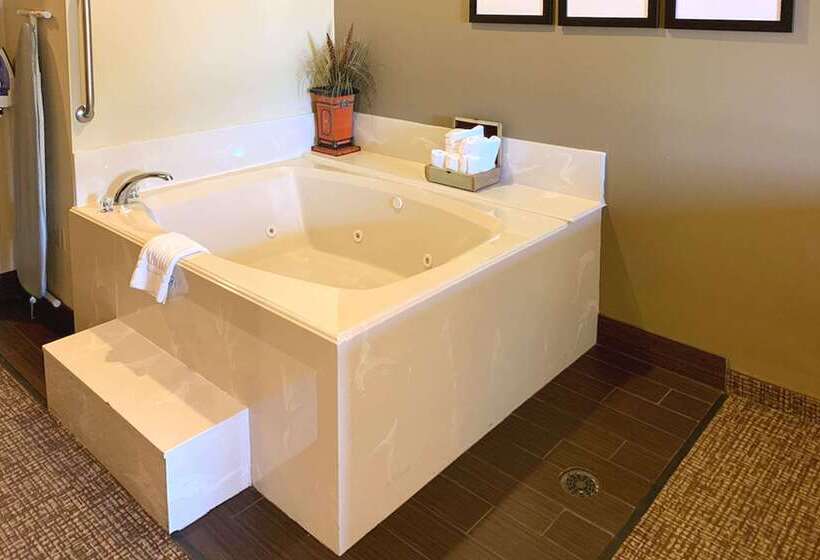 ホテル Comfort Suites Texas Ave