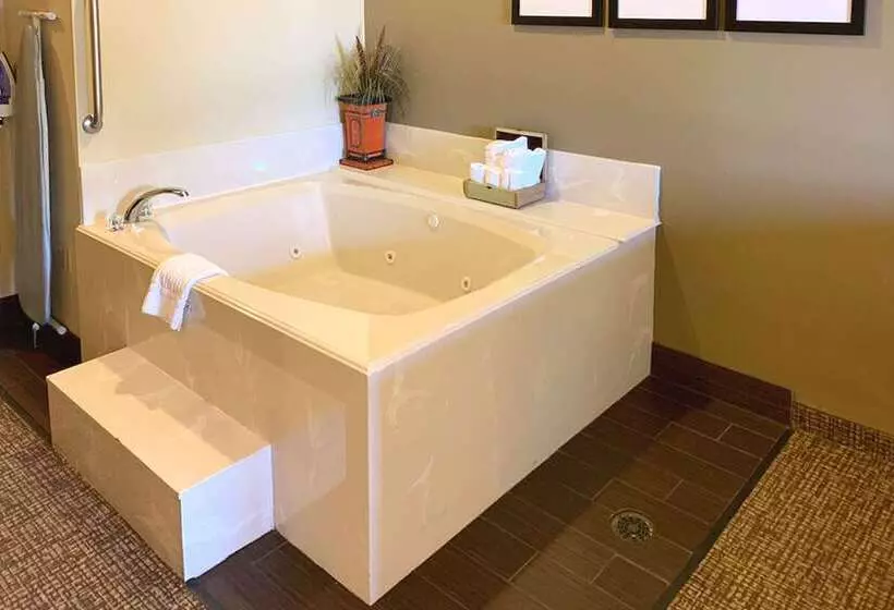 Отель Comfort Suites Texas Ave