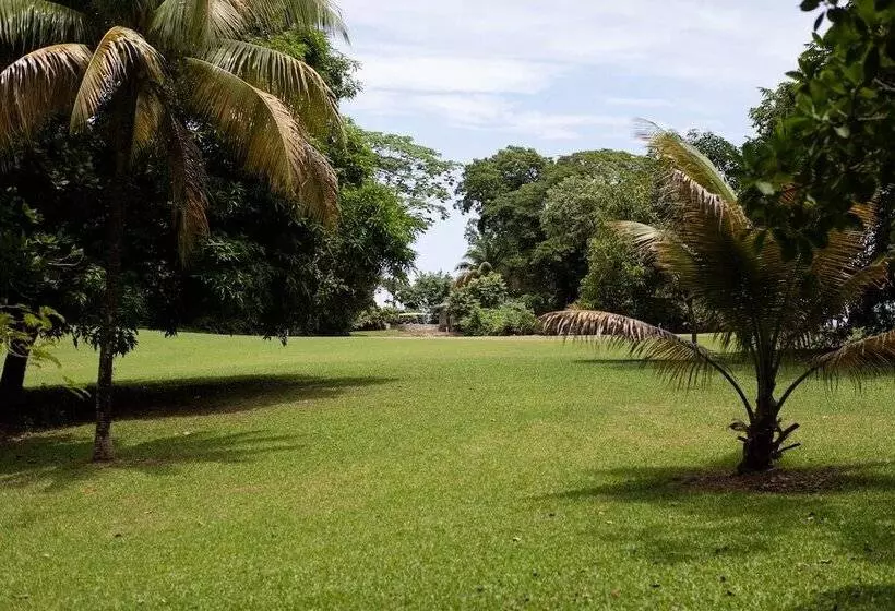 ホテル Frenchman's Cove Resort