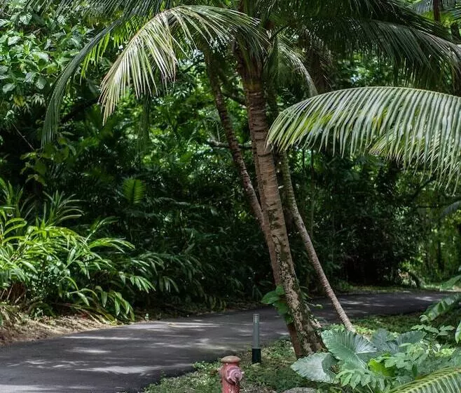 ホテル Frenchman's Cove Resort