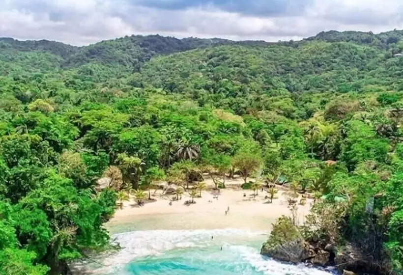 ホテル Frenchman's Cove Resort