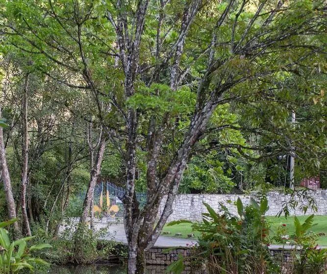ホテル Frenchman's Cove Resort