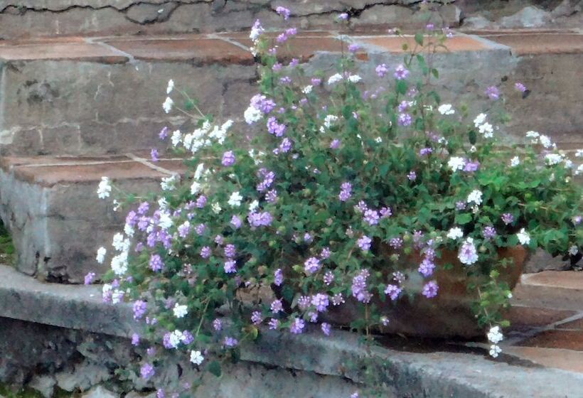 فندق Ilebal Cuernavaca Centro   Lugar Con Encanto!