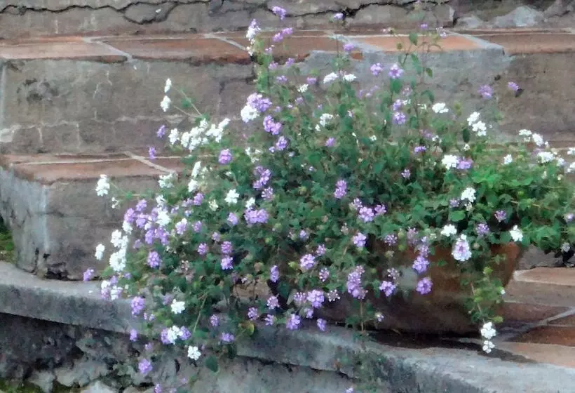 בית מלון כפרי Ilebal Cuernavaca Centro   Lugar Con Encanto!