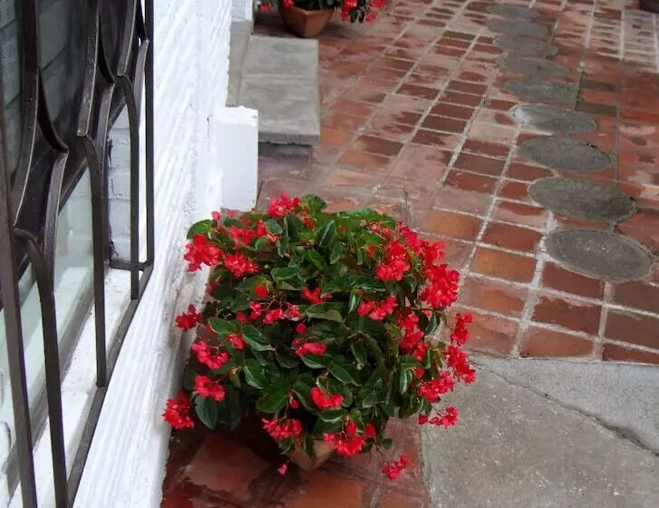 בית מלון כפרי Ilebal Cuernavaca Centro   Lugar Con Encanto!