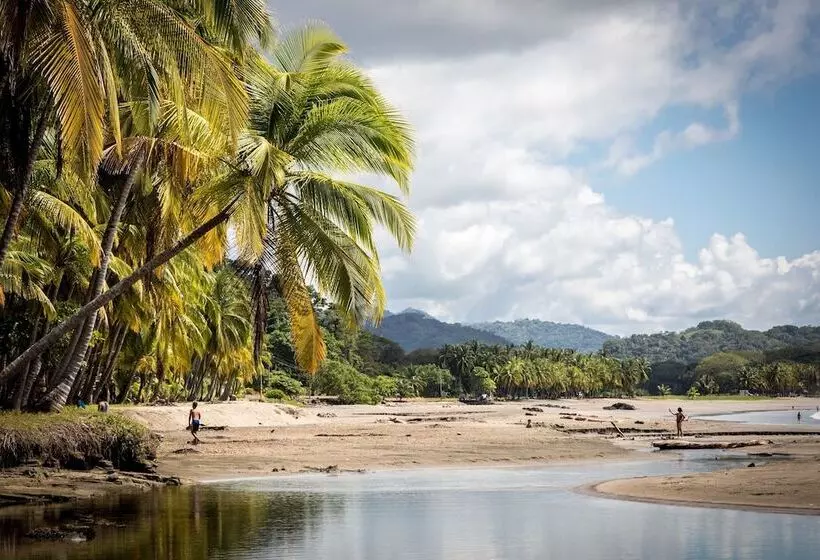 Szálloda Jw Marriott Guanacaste Resort & Spa