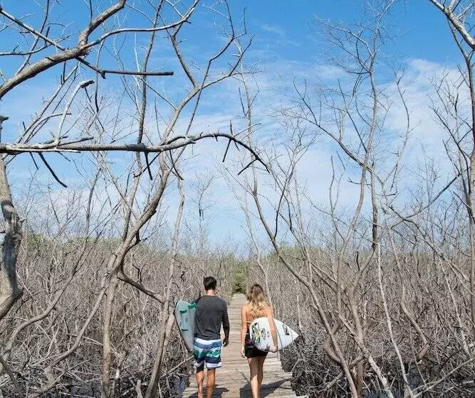 Szálloda Jw Marriott Guanacaste Resort & Spa
