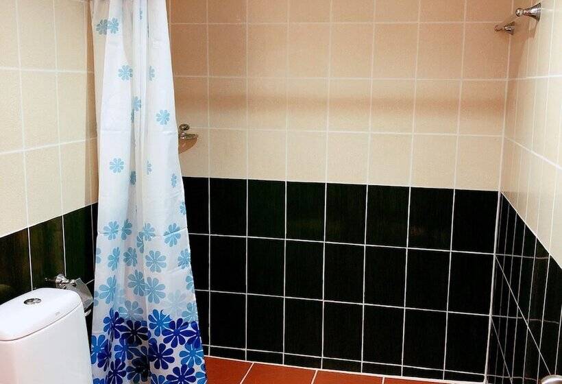 בית מלון כפרי Silver Resortel