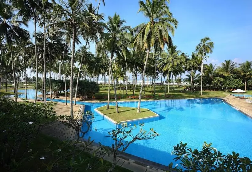 هتل The Blue Water   Bawa Heritage   City Resort