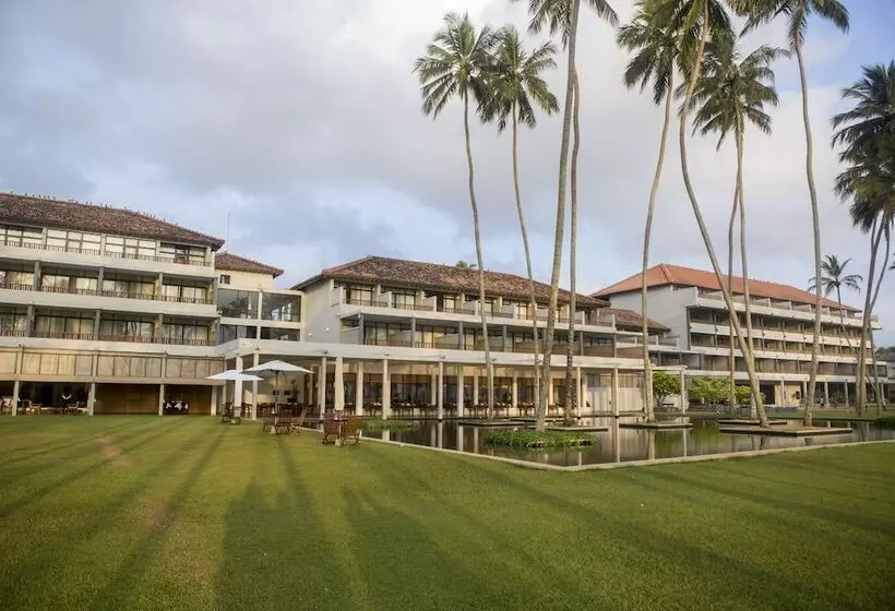 هتل The Blue Water   Bawa Heritage   City Resort