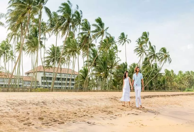 هتل The Blue Water   Bawa Heritage   City Resort