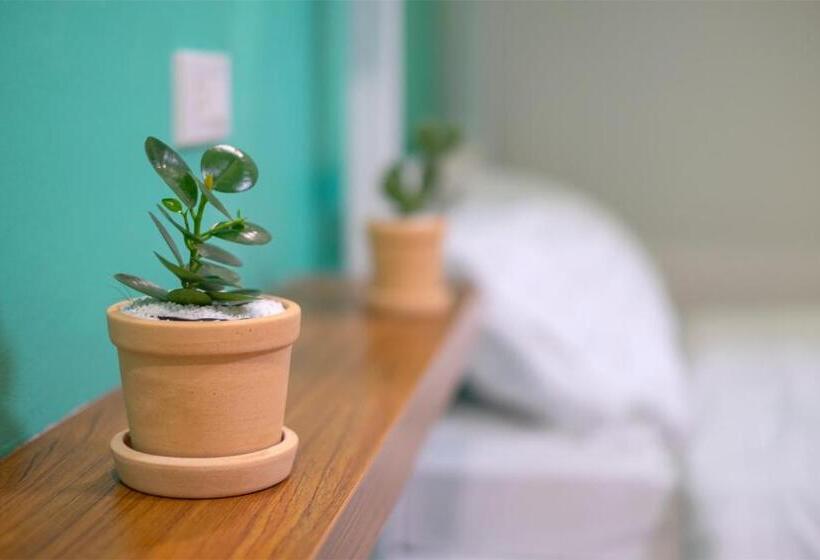 旅馆 Bedfriends Poshtel