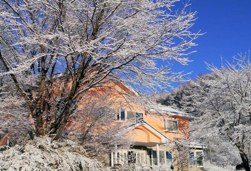 호스텔 Pension Green Field