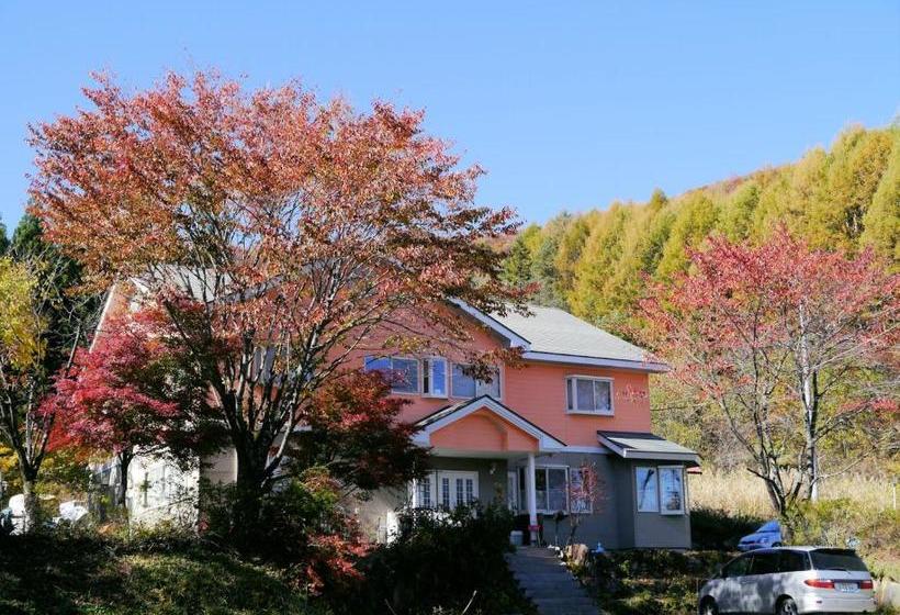 호스텔 Pension Green Field