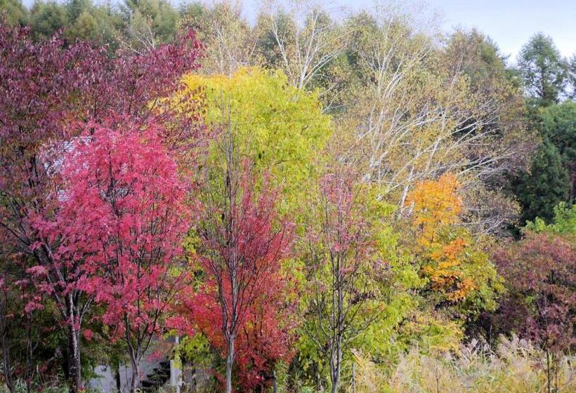 호스텔 Pension Green Field