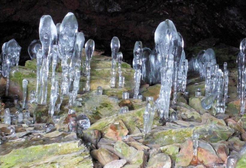 호스텔 Pension Green Field