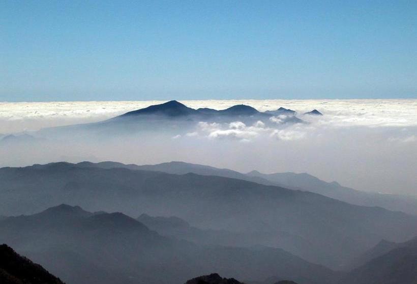 호스텔 Pension Green Field