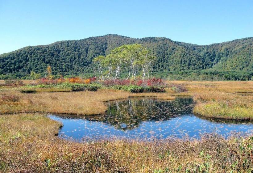 호스텔 Pension Green Field