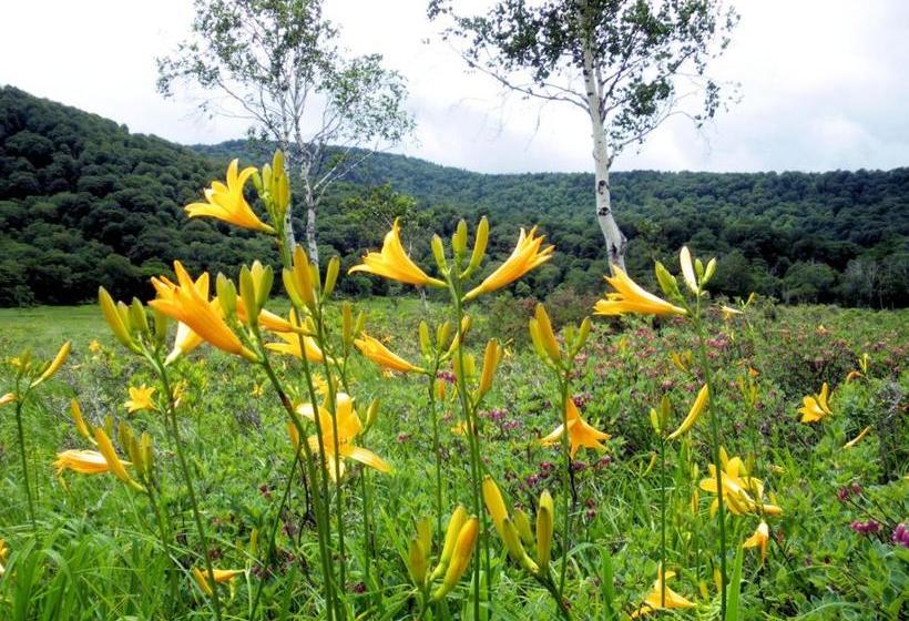 호스텔 Pension Green Field