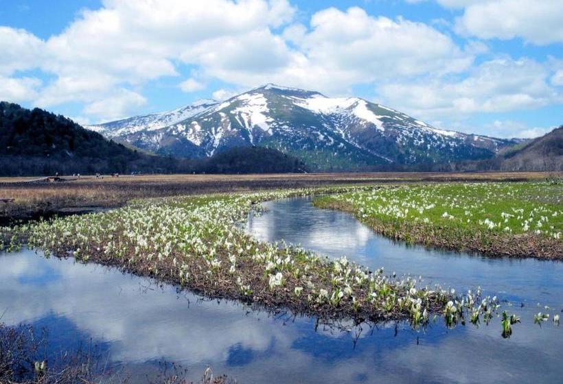 호스텔 Pension Green Field