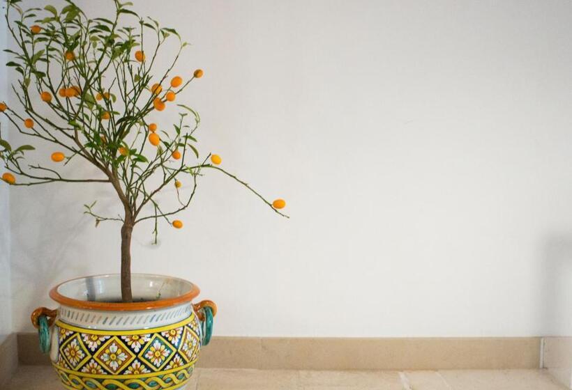 تختخواب و صبحانه Dimora Nonna Rosa