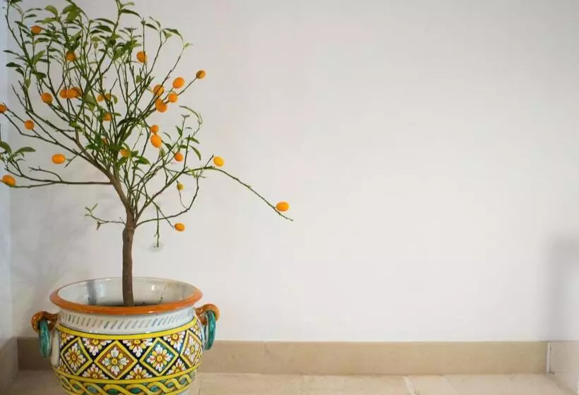 Aamiaismajoitus (B&B) Dimora Nonna Rosa