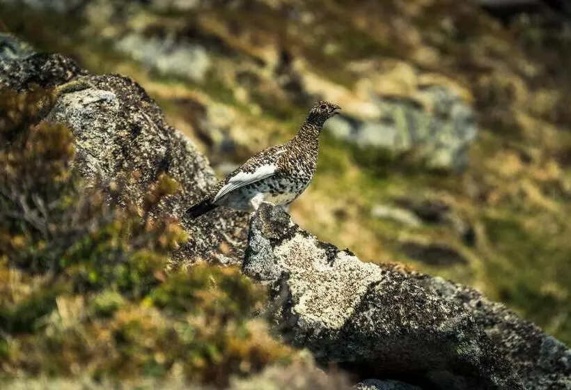 Hotelli Live Lofoten