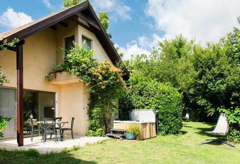 منتجع Vitrage Holiday Village And Spa