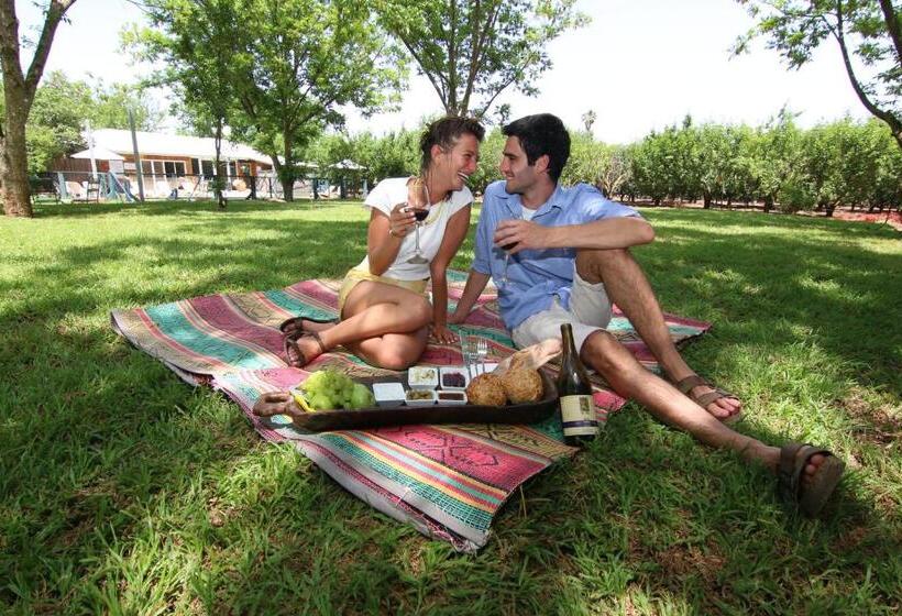 منتجع Vitrage Holiday Village And Spa