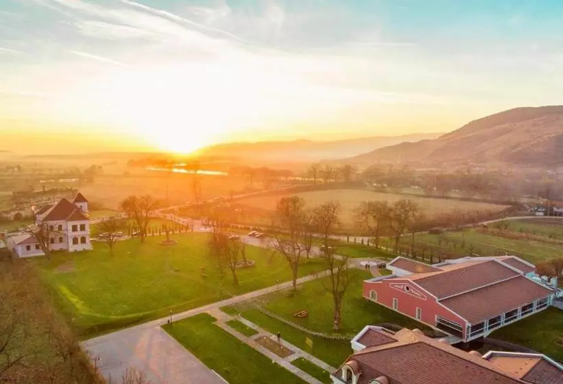 ホテル Cardinal Domeniile Martinutzi