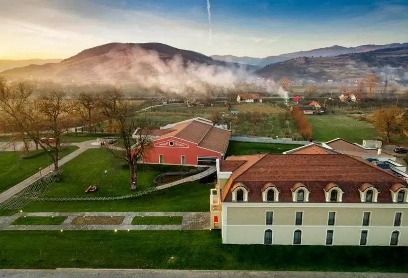 ホテル Cardinal Domeniile Martinutzi