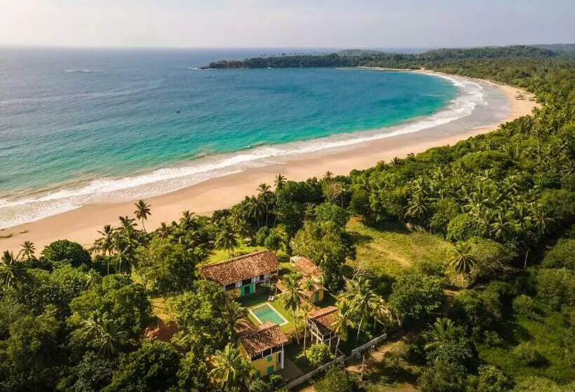 Hotelli The Last House