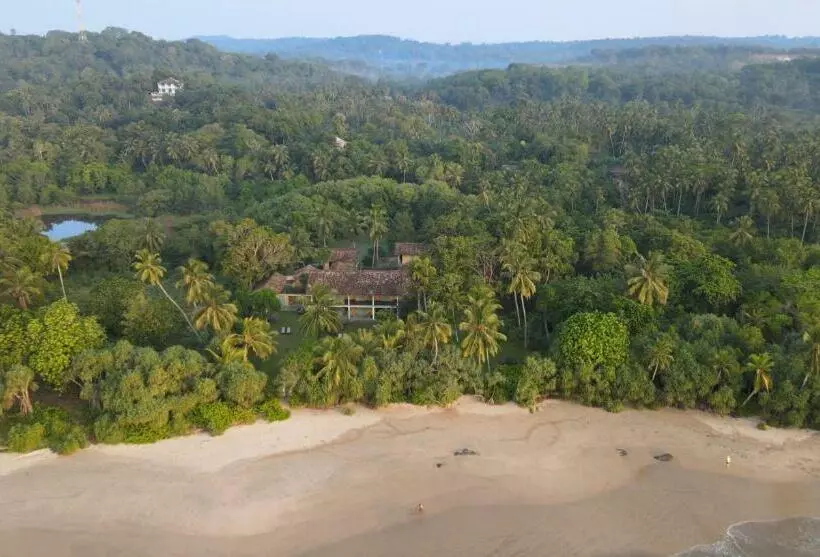 Hotelli The Last House