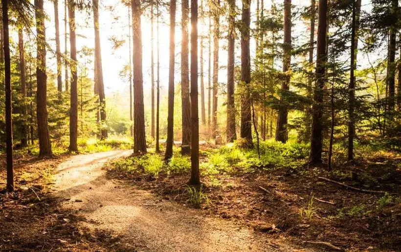 Weekly Boardinghouse