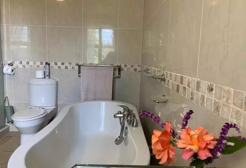 Hotelli Mountain Rose Guesthouse