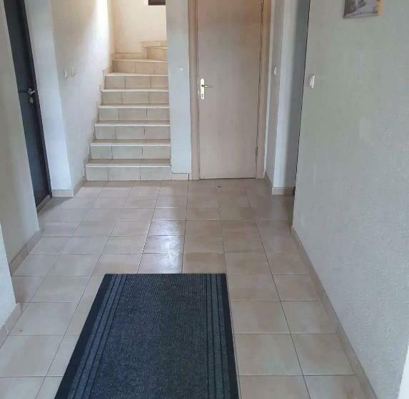 Studio Jolly Kop Jana 2