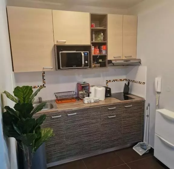 Studio Jolly Kop Jana 2