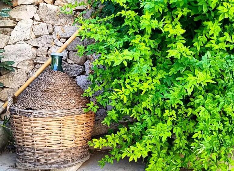 Aamiaismajoitus (B&B) Nicuzza