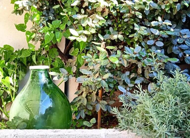 Aamiaismajoitus (B&B) Nicuzza