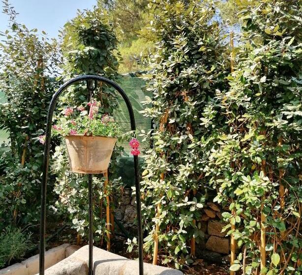 Aamiaismajoitus (B&B) Nicuzza