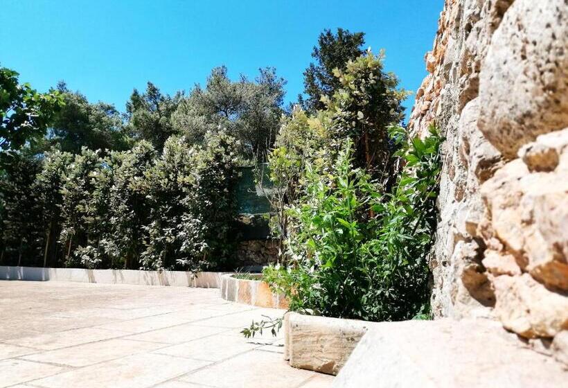 Aamiaismajoitus (B&B) Nicuzza