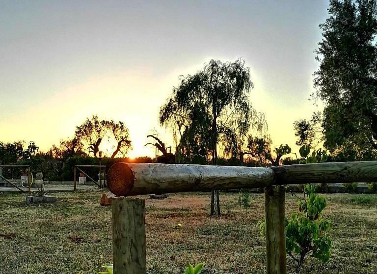 Aamiaismajoitus (B&B) Nicuzza