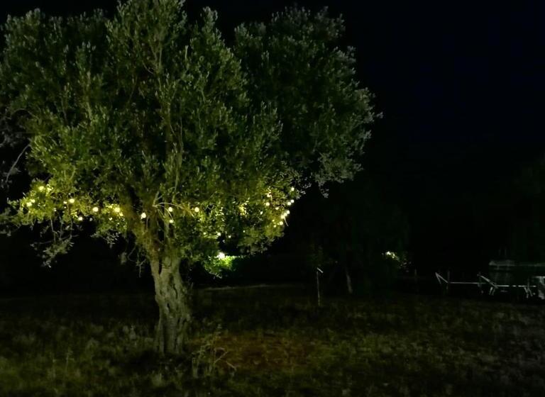 Aamiaismajoitus (B&B) Nicuzza