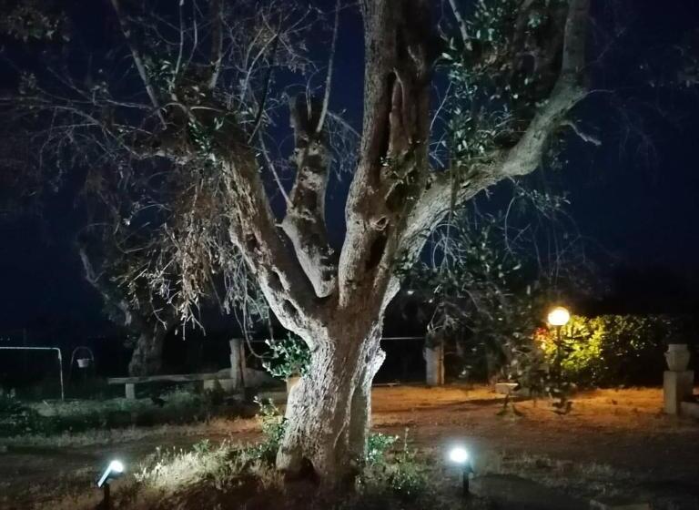 Aamiaismajoitus (B&B) Nicuzza