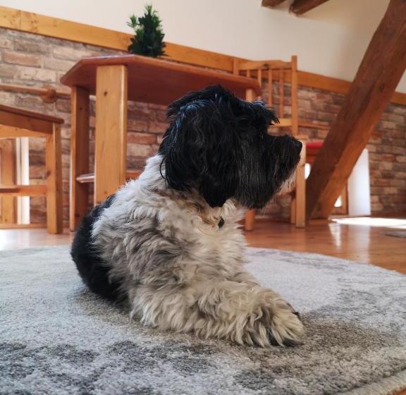 Bed and Breakfast Őrségi Malom Panzió