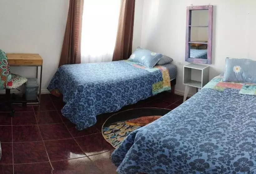 Aamiaismajoitus (B&B) Shalom_matsofy